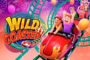 Wild Coaster